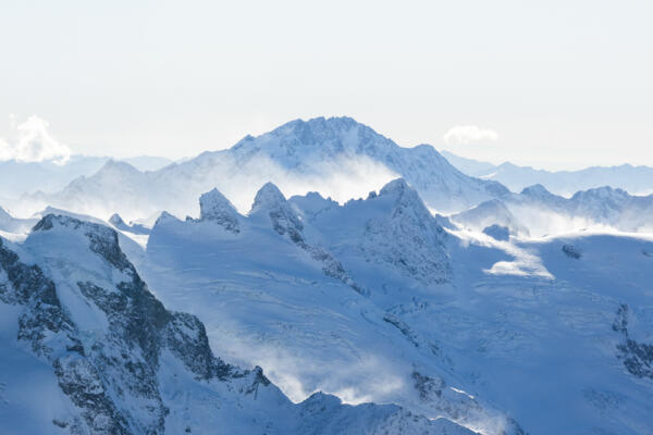 Leadership and Organisational Consulting