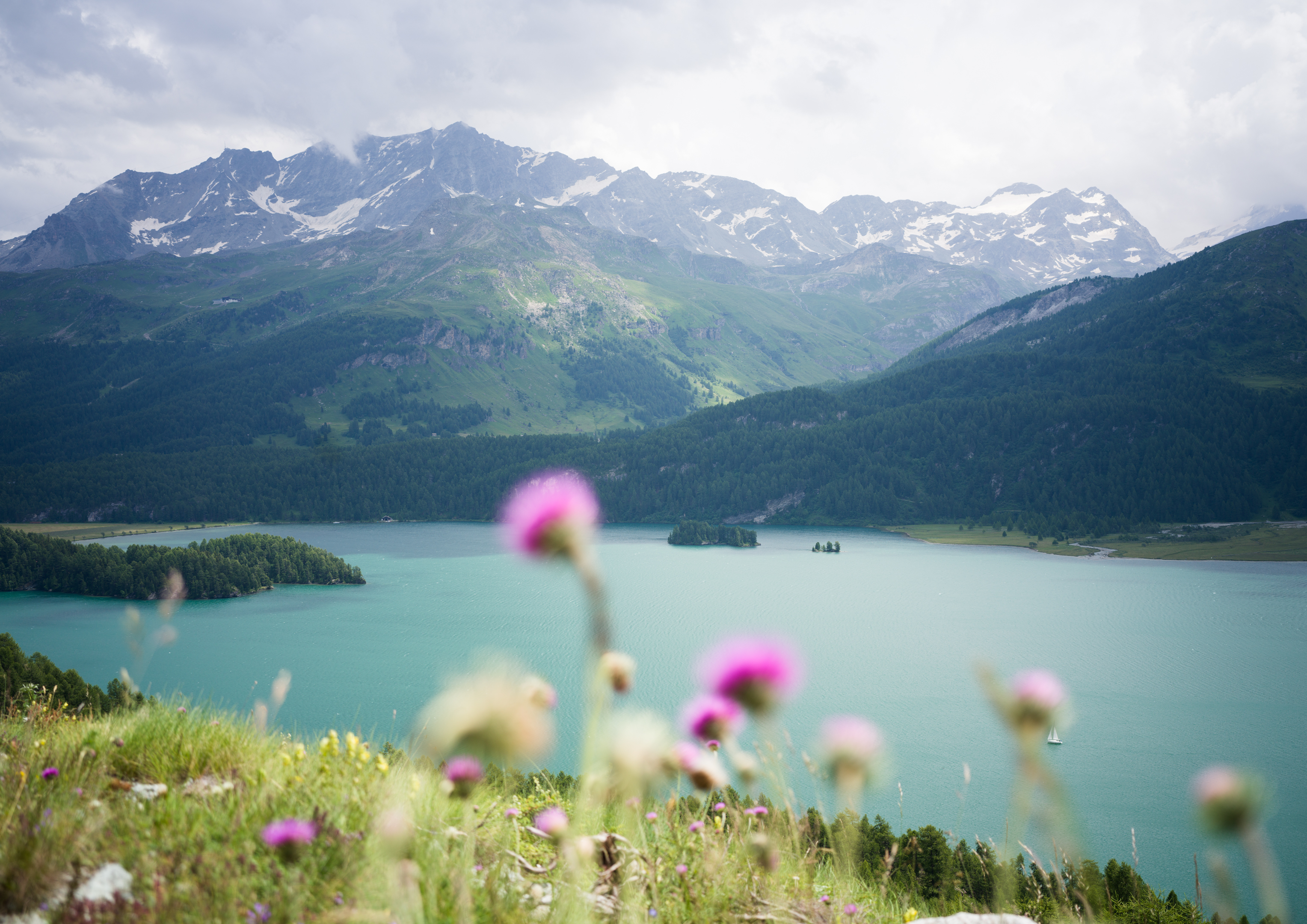 Rozwój indywidualny